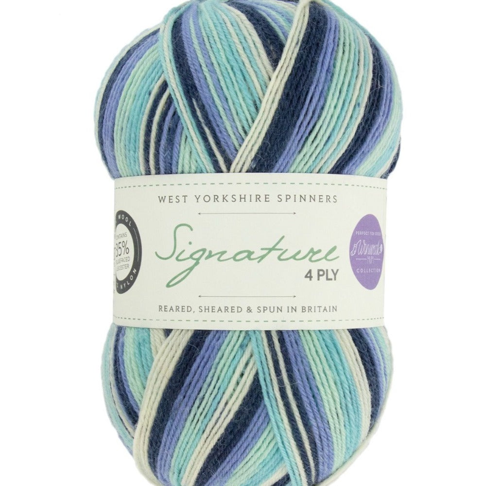 West Yorkshire Spinners Signature 4 ply Winter Icicle