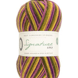West Yorkshire Spinners Sock Yarn Passionfruit Cooler