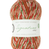 West Yorkshire Spinners 4 Ply Christmas Sock Yarn Gingerbread